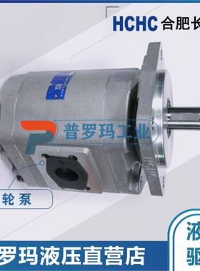 合肥齿轮油泵CBG2032-BFPCBG2040/2050/2063/2080/2100BFPL