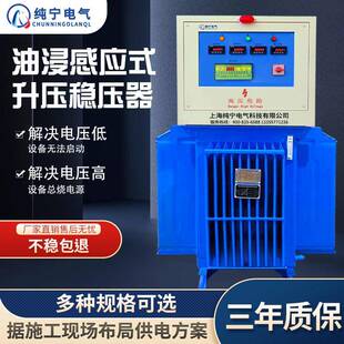 三相油浸式稳压器380V矿井桥梁矿山隧道升压大功率增压器工地矿用