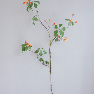 假仿真浆果藤蔓缠绕灯吊饰长枝野果子客厅餐桌家居摆设陈列