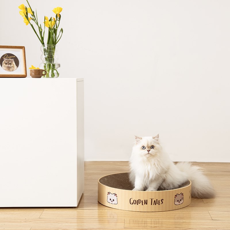 金故立牌圆形猫窝猫咪抓板一体耐磨四季通用不掉屑邓峰家