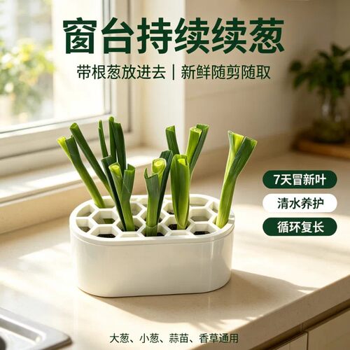 阳台窗台水培葱花种植盒快速收割