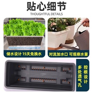 potted flowerpo vegetable Balcony pot Qlarge rectangular box
