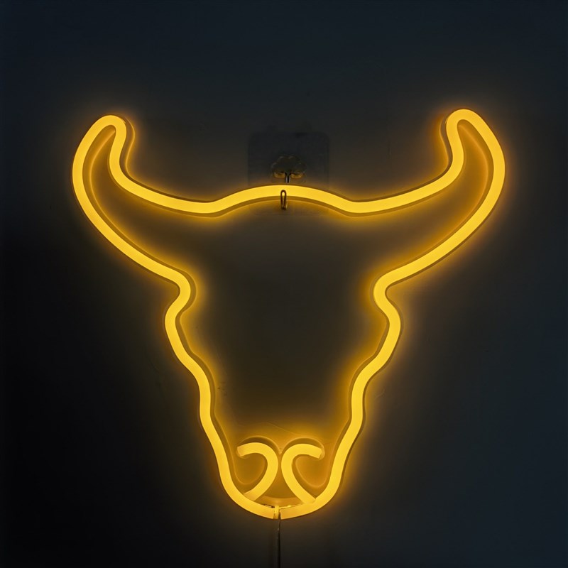 LED Neon Lightl Wall Sign Night Lamp Party Holiday Decor Gif