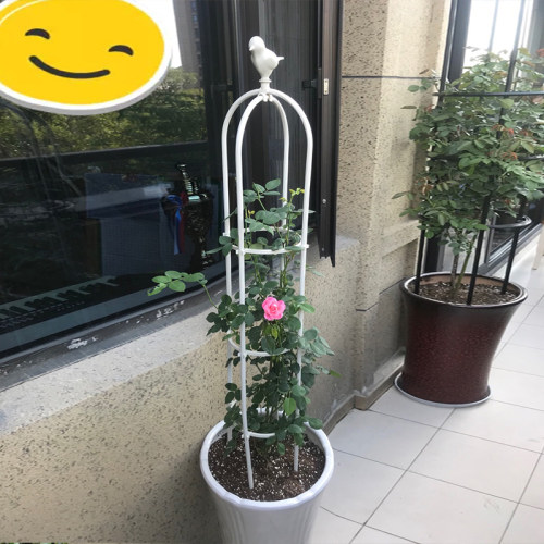 花架爬藤架月季支架杆室外铁艺鸟笼铁线莲藤架户外庭院阳台鸟架子