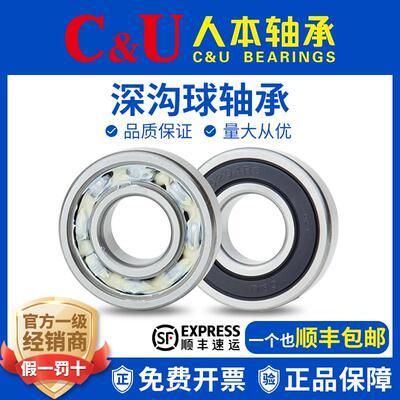 人本轴承6200高6201速6202高6203温6204 6205TD6206 6207 2RZ ETK