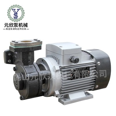 厂家直销YS-15系列热水泵热油泵WM-10模温机油泵