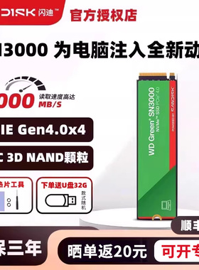 闪迪SN3000固态硬盘1T 2T 500G台式机笔记本SSD m.2硬盘pcie4.0