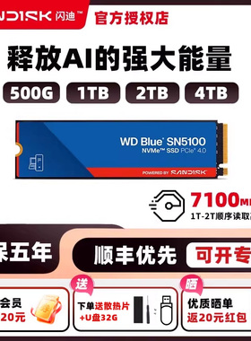 闪迪4tb固态硬盘西部数据sn5100 2t m.2 1t笔记本台式电脑ssd硬盘