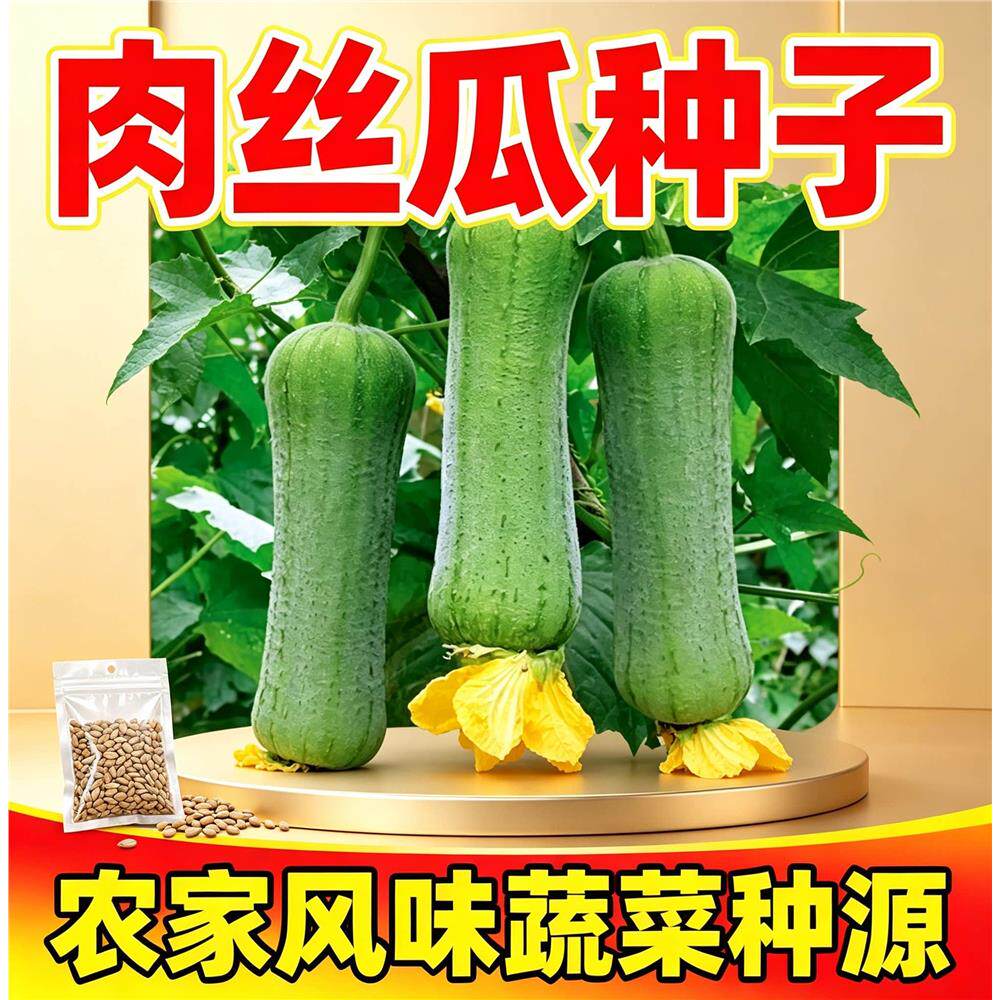 肉丝瓜种子易四季香当季