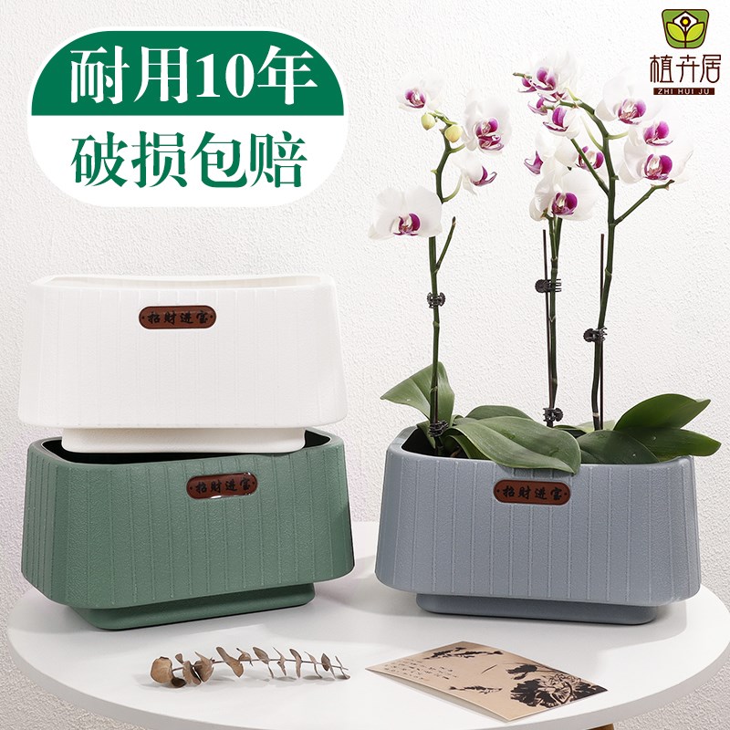 简约招财进宝多肉蝴蝶兰专用花盆家用绿植塑料花盆室内阳台盆栽盆