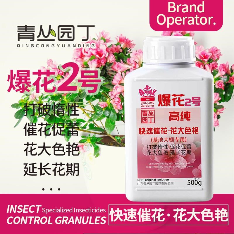 青丛园丁爆花粉2号开花促进花芽分化快速开花花大色艳开花粉通用