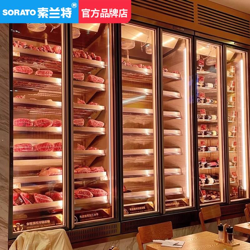 牛肉熟成柜西餐厅烤肉火腿冷藏柜干湿式和牛排酸柜恒温冷冻展示柜