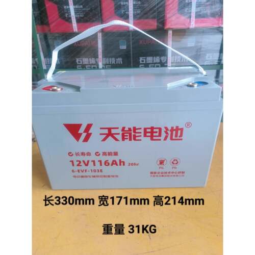 6-EVF-116AH电动三轮四轮车叉车巡逻车专用12v60ah70ah100ah