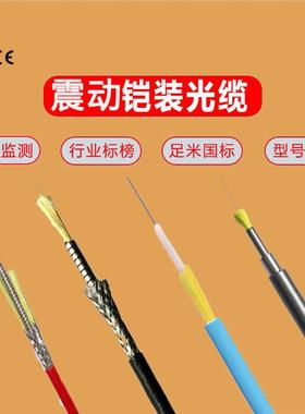 振动光缆DAS分布式振动光纤传感光缆螺旋钢管铠装震动2芯光纤跳线