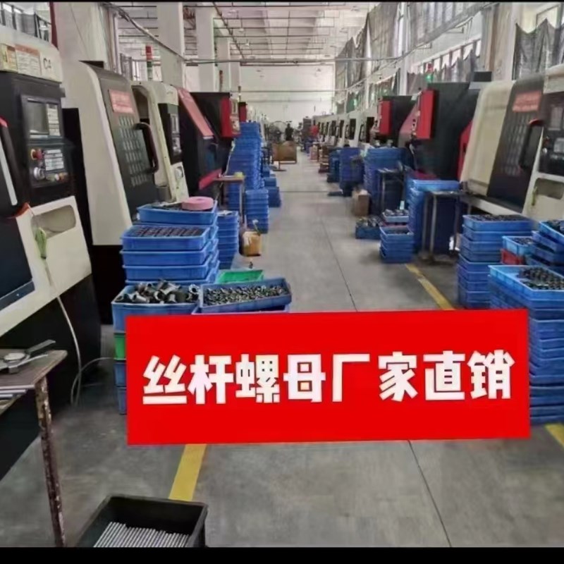 SFK0401丝杆螺母精密滚珠丝杆螺母螺杆