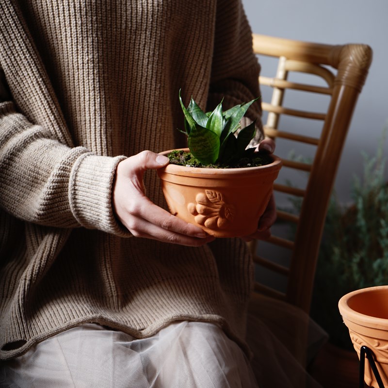 吴氏陶业细质红陶花盆多肉植物泥瓦盆树叶浮雕盆景天科专属盆瓦盆