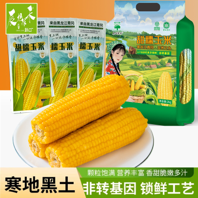 辰旭稼禾东北黄糯玉米大棒