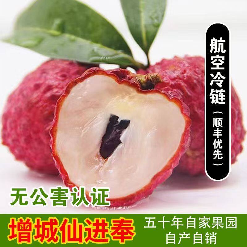 广州增城仙进奉荔枝新鲜荔枝当季新鲜孕妇水果现摘现发空运次日达