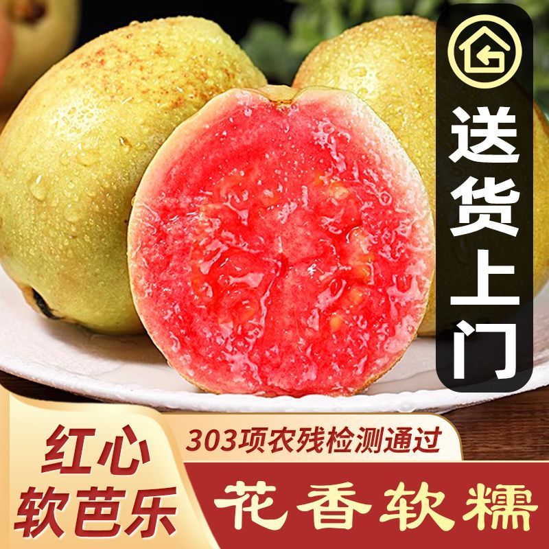 正宗芭乐白心红心番石榴大果