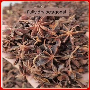 新日期采购产品大红八角广西无硫干八角大料新货干月桂叶肉
