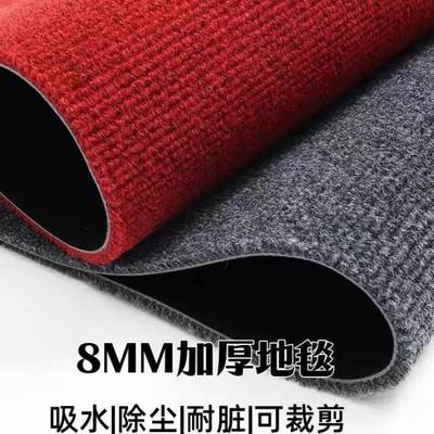 入户地垫厨房门口吸水防滑垫脚垫卧室客厅办公室新款加厚隔音地毯