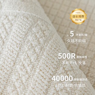 家用卧室沙发防水地垫大面积全铺免洗可擦 奶油风地毯客厅2024新款