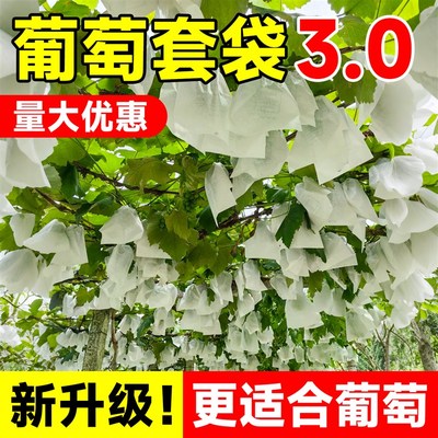 葡萄套袋果袋防虫防鸟无纺布包瓜果水果实果树果子嫁接袋
