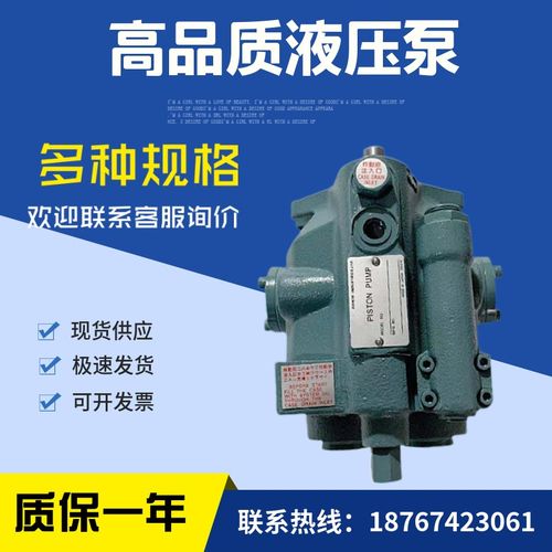 柱塞泵V23A3RX-30电动铸铁机床油泵配件泵头油封