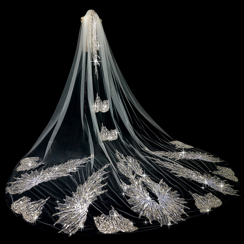 长款头纱新娘结婚主婚纱头纱超仙森系韩式大拖尾婚礼舞台闪闪头纱