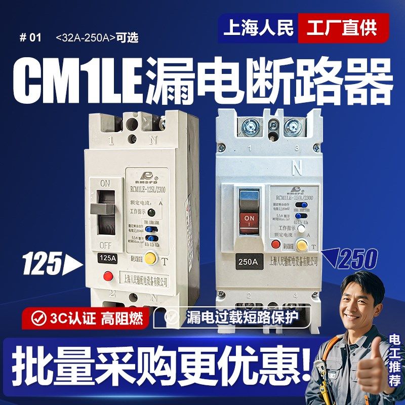 CM1LE单相漏电断路器63A 100A 125A 160A 250A塑壳漏保220V空开2P