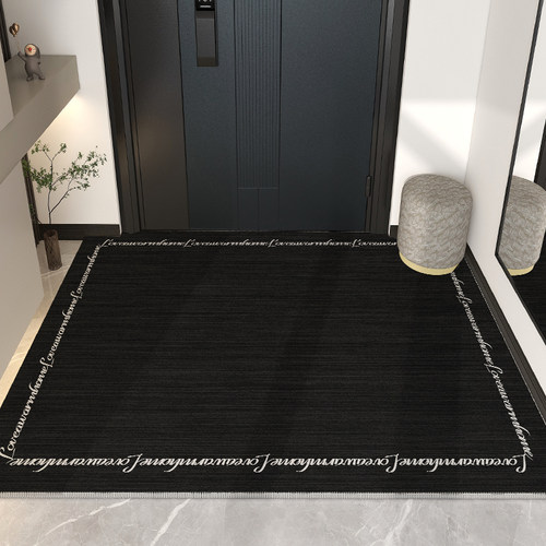 地垫入户门垫2023新款进门脚垫家用轻奢简约门口地毯玄关耐脏垫子