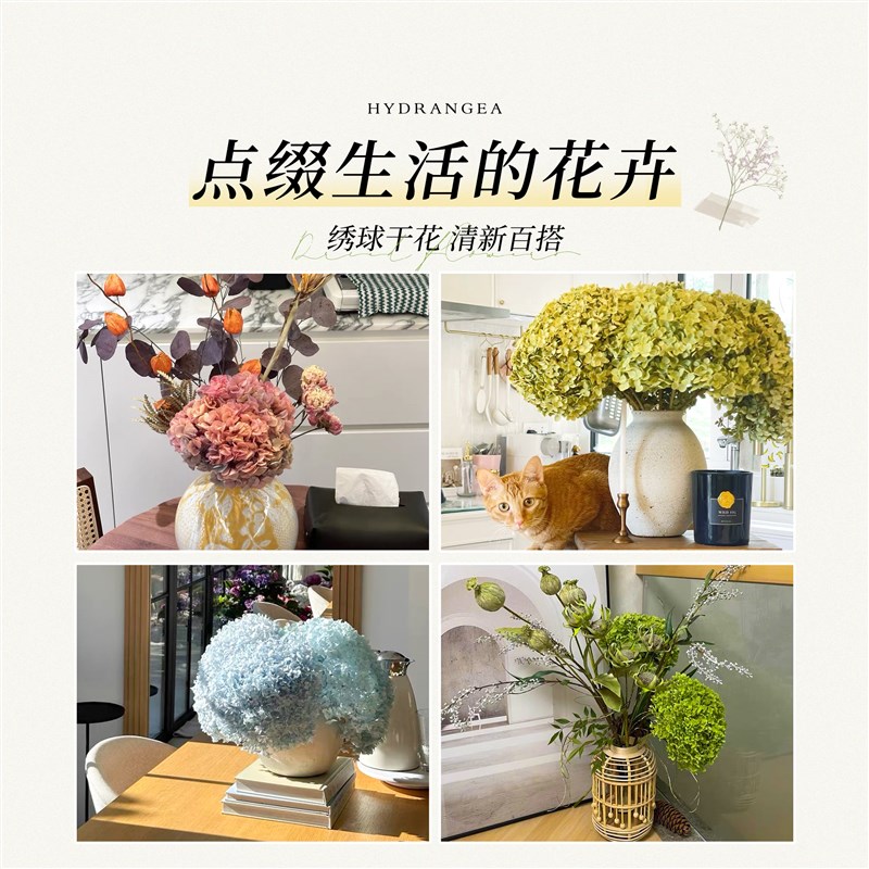 绣球干花真花风干天然diy材料客厅摆设室内插R花束装饰摆件高级感