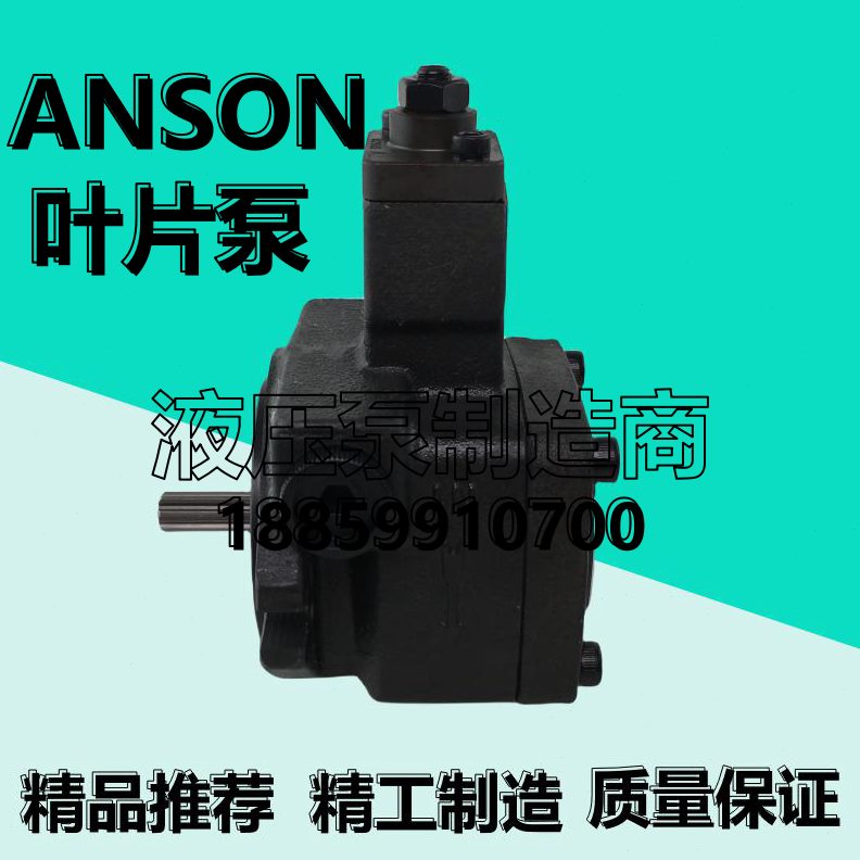 3540油泵SAP片////NS20F-55/30ON叶安2015V10/-1211//液压70-颂S