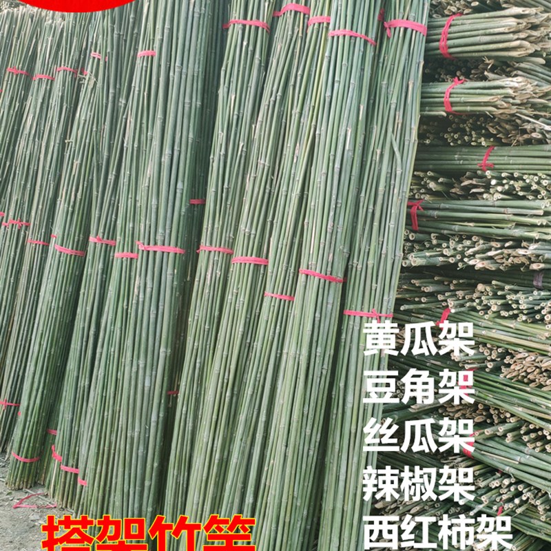 竹竿菜园搭架竹杆条2米豆角x黄瓜爬藤架竹子竹篱笆围栏架杆棍架条