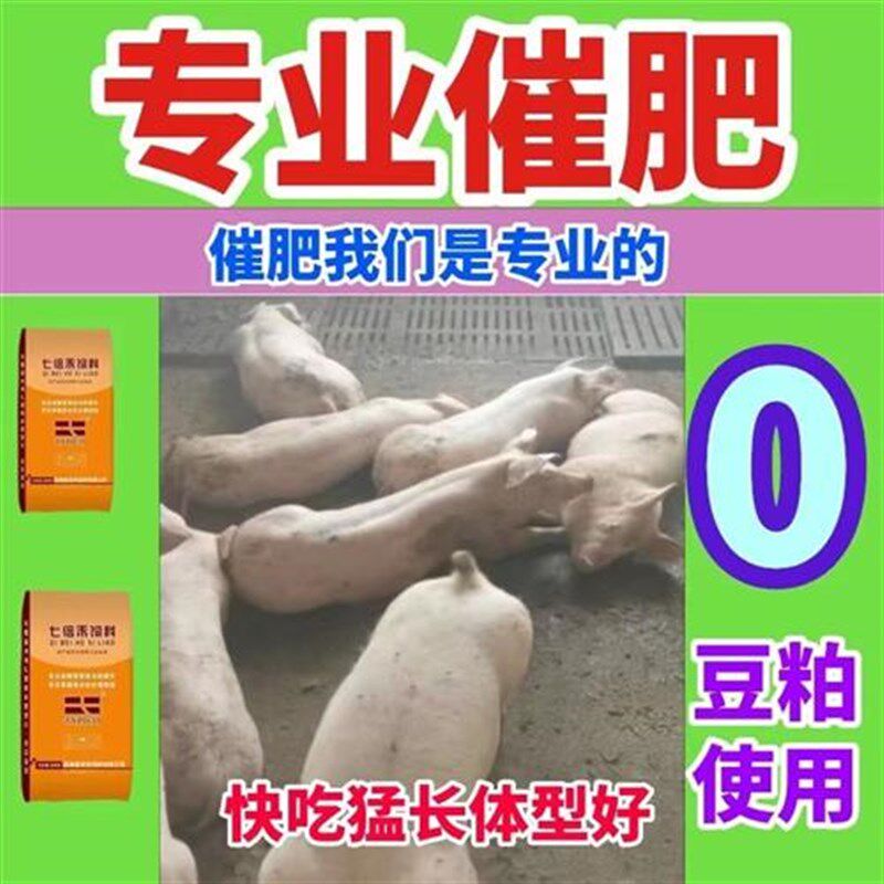 不加豆粕猪用预混料专业催肥只需玉米快速增重厂家发乡镇灵活配比