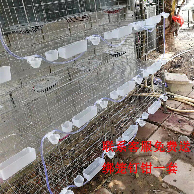 阳台鸽子笼养殖笼12位6位家用16位大型三层超大养鸽子专用铁丝网