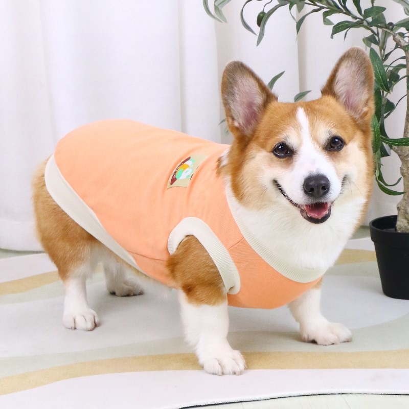 宠物狗狗衣服春秋夏季背心薄款透气防掉毛柯基小型犬中型犬四季款