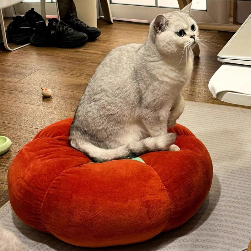 番茄毛绒猫窝冬天保暖冬季坐垫宠物狗垫子安全感猫咪睡觉用沙发