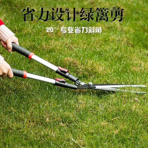 花剪园艺剪刀修枝剪花剪子工具大剪刀果树枝修剪草坪绿篱园林剪刀