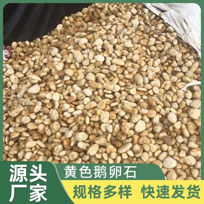 厂家供应黄色鹅卵石雨花石 园林造景建设公园道路铺路石子鹅卵石