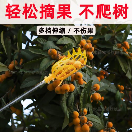 摘枇杷神器高空摘果器可伸缩不锈钢多功能龙眼杨梅荔枝柿子采摘器