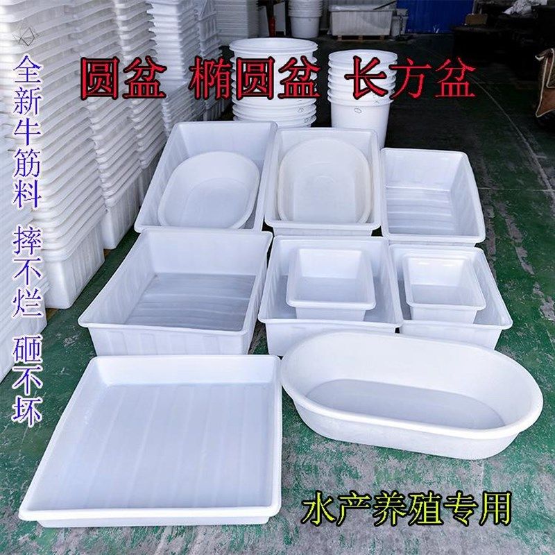 养鱼卖鱼长方形方型塑料盆洗x菜加厚耐用大盆水产养殖特大专用大