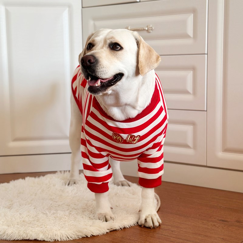 狗狗衣服大型犬冬季保暖衣服新年喜庆衣服拉布拉多金毛加绒狗衣服