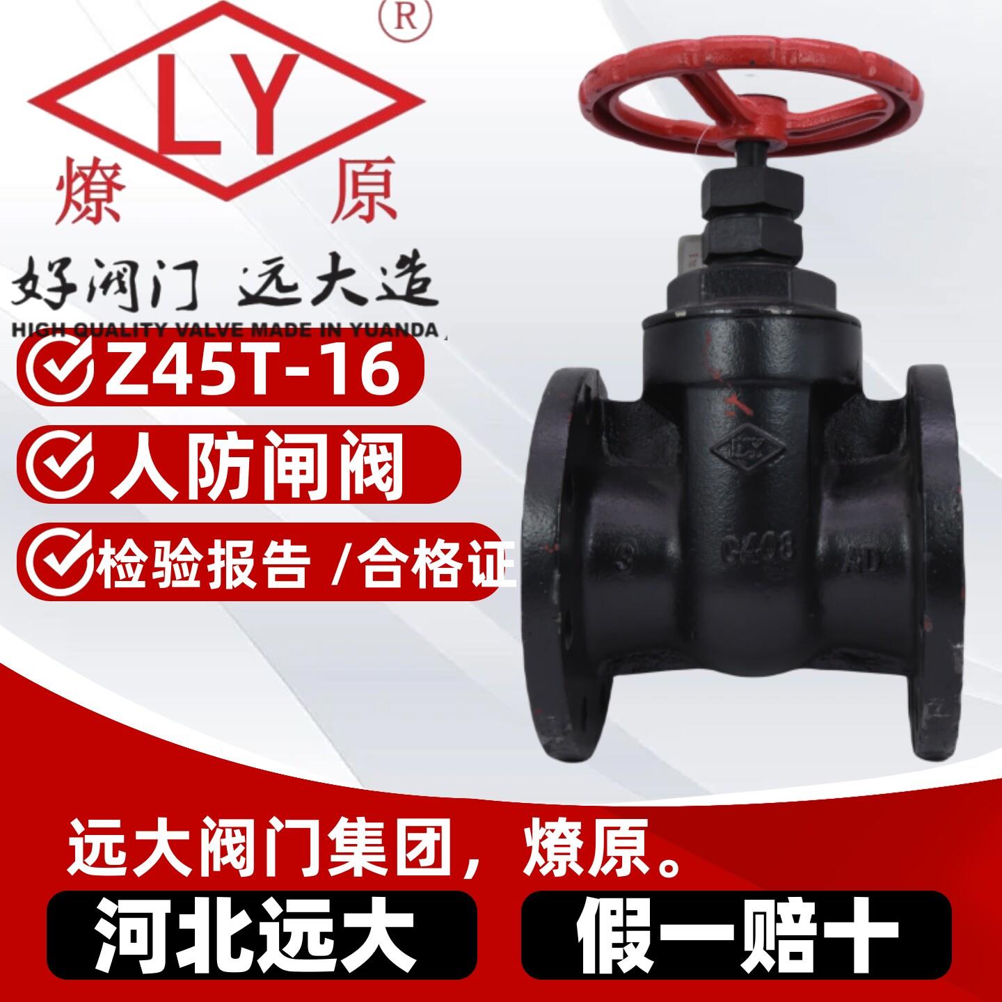 河北远大阀门LY燎原Z45T-16铜芯人防护闸阀法兰铁506580100150200图片
