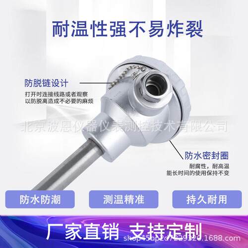 波仪器一体化长杆温度传感器恩家厂铠装温度传感器 T100热P波恩仪
