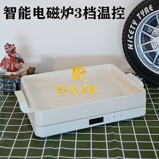 半天妖同款白色电磁炉烤鱼盘烤鱼锅电烤鱼盘锅炉烤箱商用智能烤鱼