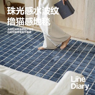 TipToe海盐日记 地毯客厅沙发北欧高级感轻奢房间卧室床边地毯垫
