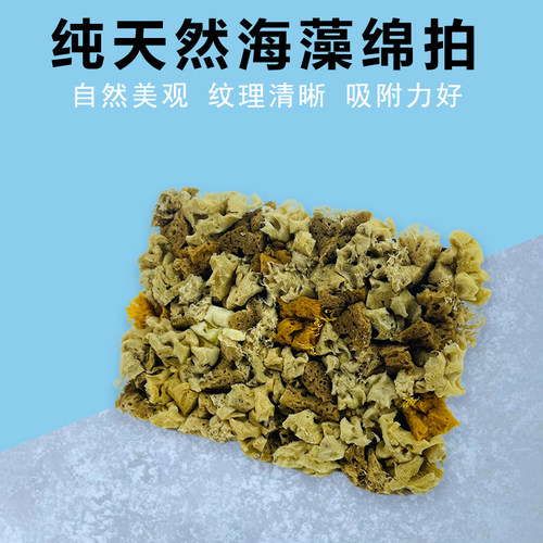 天然海藻绵拍点彩工u具 三色珠光艺术漆印花刷具组