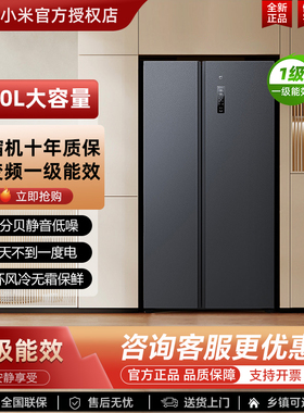 小米米家对开门610升大容量风冷变频一级能效节能家用冷藏电冰箱