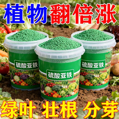 硫酸亚铁养花专用酸性土壤通用型养花防黄叶植物果树铁养花溶补铁